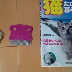 猫玉とチューチュー2つと蚤取りクシと猫本の画像