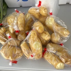 高知県産の繊維の残らない美味しい生姜入荷しました✨