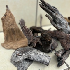 アクアリウム用流木の画像