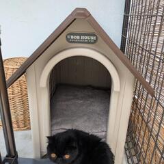 犬小屋
