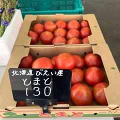 【在庫3】美瑛産🍅トマト入荷しました✨