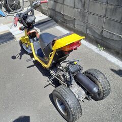 ロードフッォクス　の画像