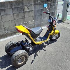 ロードフッォクス　の画像