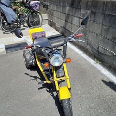 ロードフッォクス　の画像