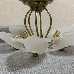天井照明　6灯