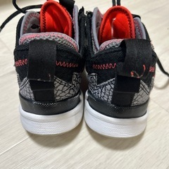 バッシュの画像