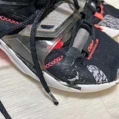 バッシュの画像