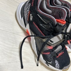 バッシュの画像