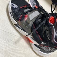 バッシュの画像