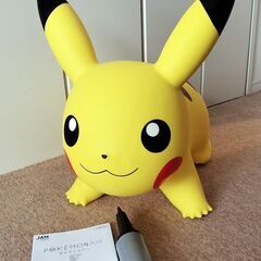 ポケモンエアー POKÉMON AIR