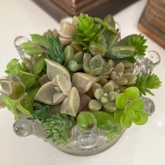 王冠ガラスの多肉の寄せ植えの画像