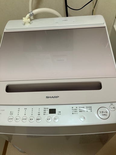 美品✨２０２４年製シャープ５年保証付き洗濯機