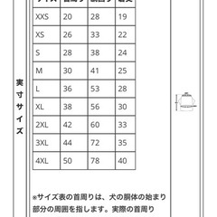 【募集中】犬 アロハシャツの画像