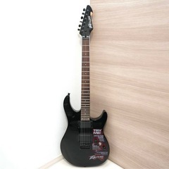 ※受け渡し予定者あり【5000円値下げ】PEAVY AT-200 美品