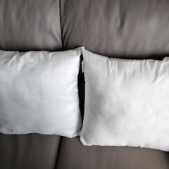 ニトリ　クッション・クッションカバー　各2点の画像