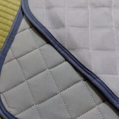 ひんやり消臭　敷パットの画像