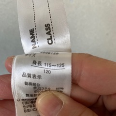フリル水着
の画像