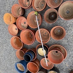 鉢　大きめ　植木鉢　まとめてお安くの画像
