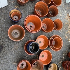 鉢　大きめ　植木鉢　まとめてお安くの画像