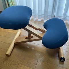 バランスチェアーの画像