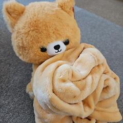 ぬくぬくねこさんブランケット付きの画像