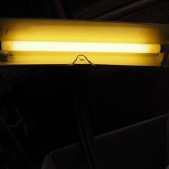 卓上ライト、アンティーク、ライトの画像