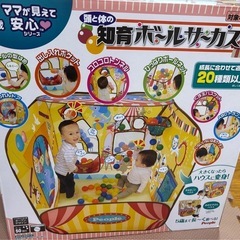 ボールプール　知育ボールサーカスの画像