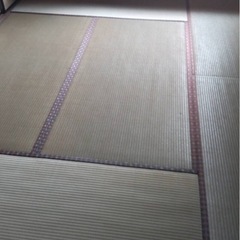 畳の画像