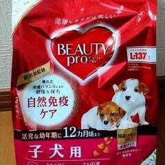 BEAUTY pro ドッグフード(ドライ)