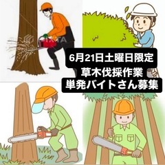 6月21日草木伐採バイト