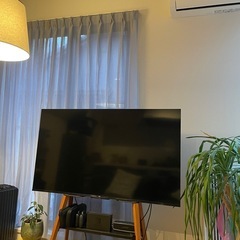 【取りに来ていただける方限定】TCL 50V型 チューナーレス テレビ 4K Google TV フレームレス ネット動画対応 50P63J スマートテレビ HDR10対応 Dolby Vision Dolby Atmos クロームキャスト内蔵 音声検索対応 ゲームモードALLM 自動低遅延 VESA規格 2023年 モデル