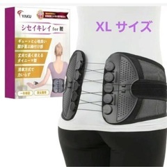 シセイキレイ 腰サポーター(XLサイズ) 