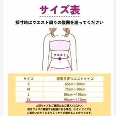 シセイキレイ 腰サポーター(XLサイズ) の画像
