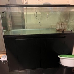 決まりました1200.450.450ガラス水槽、水槽台セット