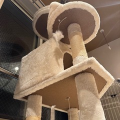キャットタワー