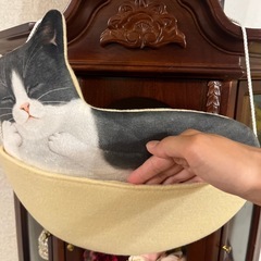 可愛い猫ちゃんのタペストリーの画像