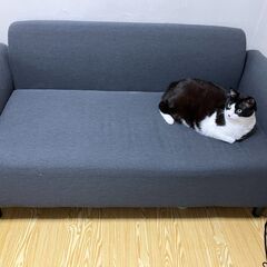 【値下げ・25日まで】
IKEA HEMLINGBY 2人掛けソファ（ダークグレー）｜引き取り限定｜IKEA10年保証あり（猫は付きません）の画像