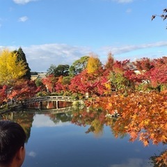 新規オプチャ💐京都(関西)独身会🌈