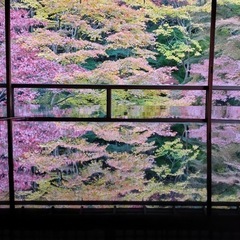 関西(京都中心)交流会オプチャ🌈