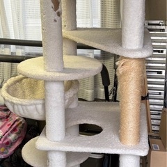キャットタワー  ※7月で処分しますの画像