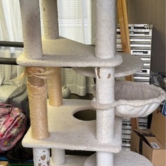 キャットタワー  ※7月で処分しますの画像