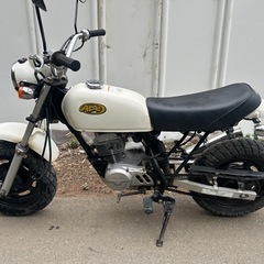 【動画あり】エイプ50 カスタム　キャブ車　社外マフラーハリケーンハンドルの画像