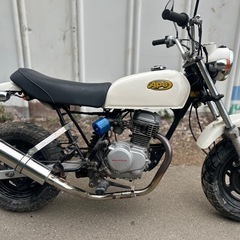 【動画あり】エイプ50 カスタム　キャブ車　社外マフラーハリケーンハンドルの画像