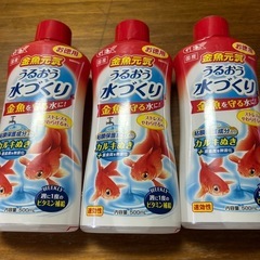 金魚カルキ抜き