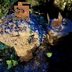 DVDプレイヤー他の画像