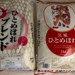 ひとめぼれ　お米　10キロ