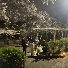夜ピクニック🌉💫