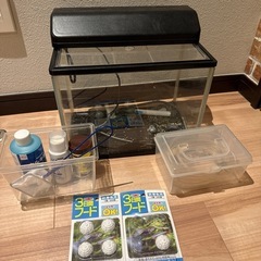 水槽セット