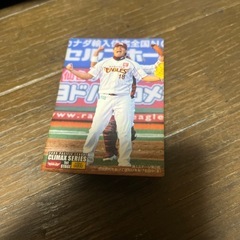 カルビー プロ野球チップス 2010年 ゴールデンイーグルス 田中将大