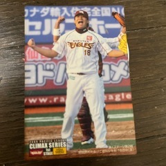 カルビー プロ野球チップス 2010年 ゴールデンイーグルス 田中将大の画像